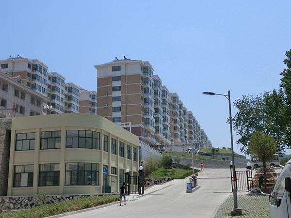05.jpg