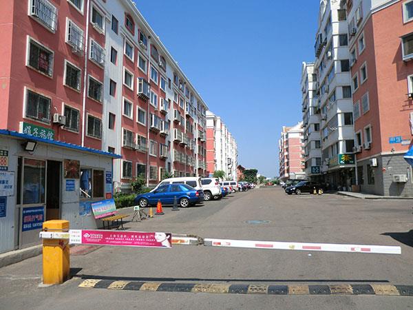 06.jpg